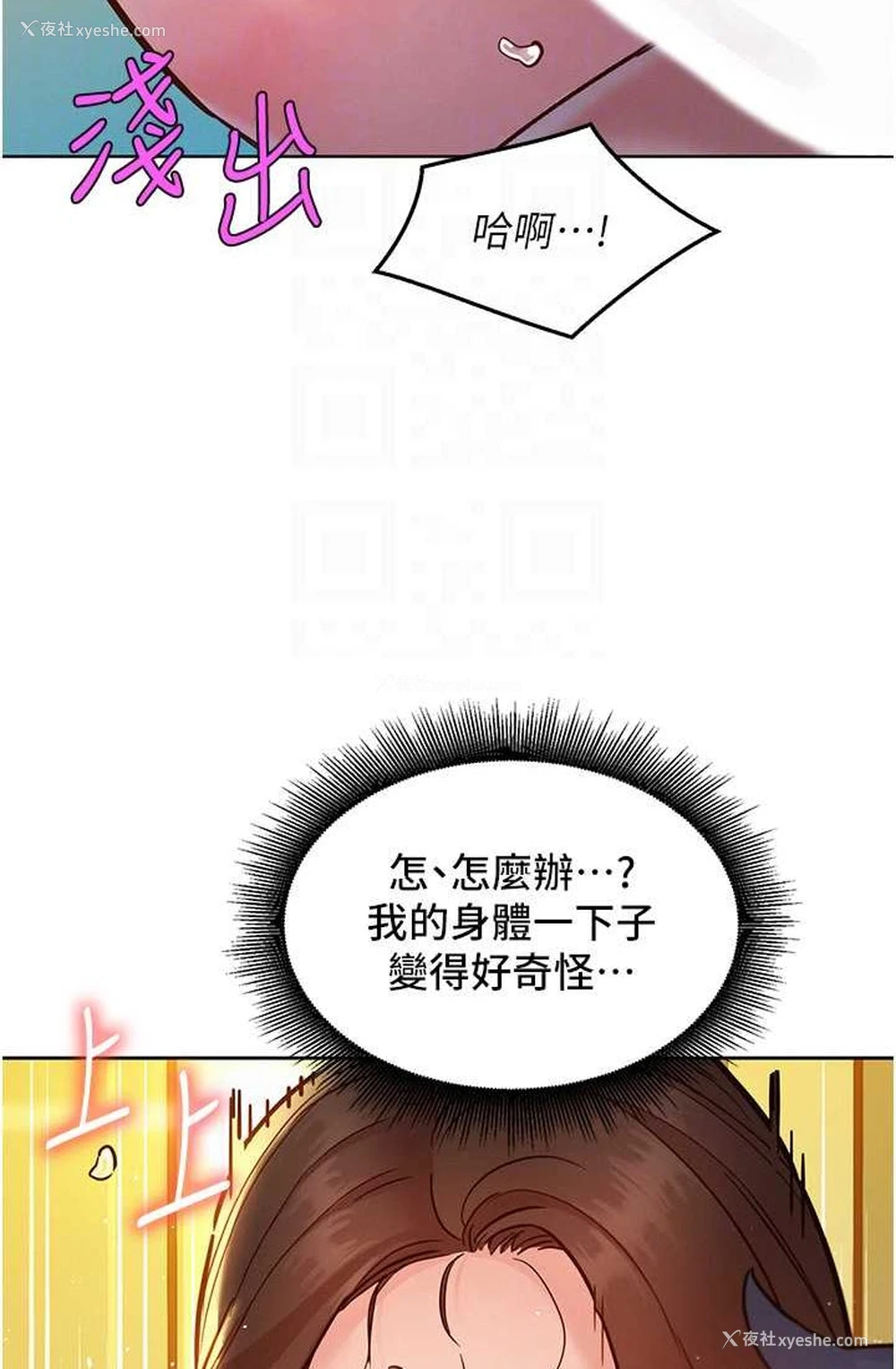66P - 友情万睡