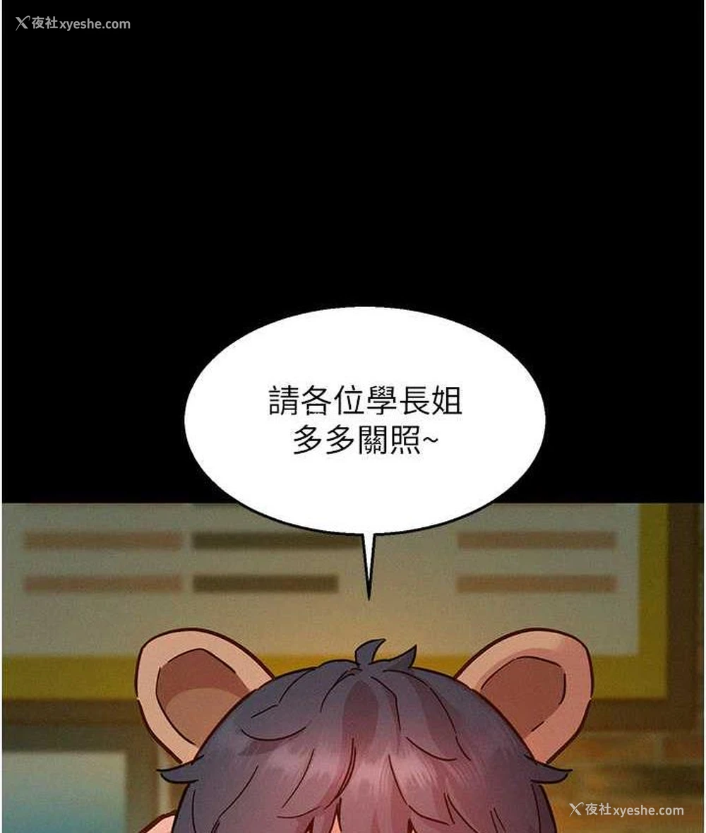 5P - 友情万睡