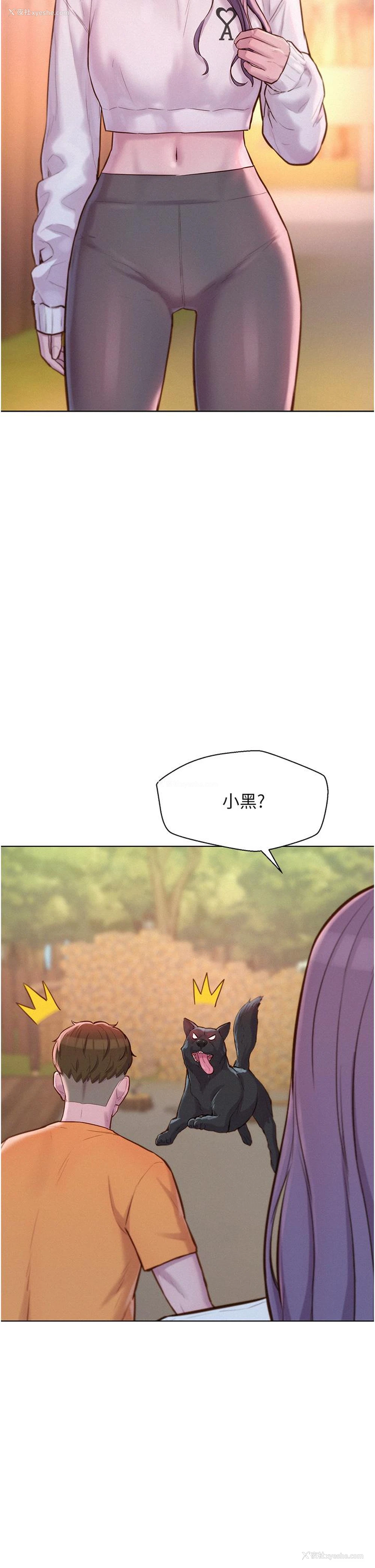 17P - 浪漫露营