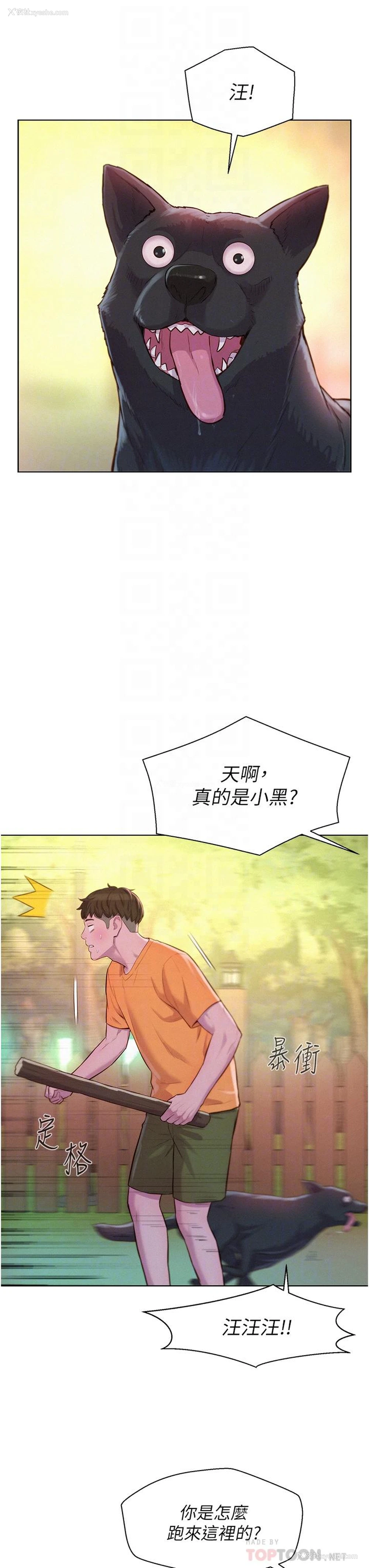18P - 浪漫露营
