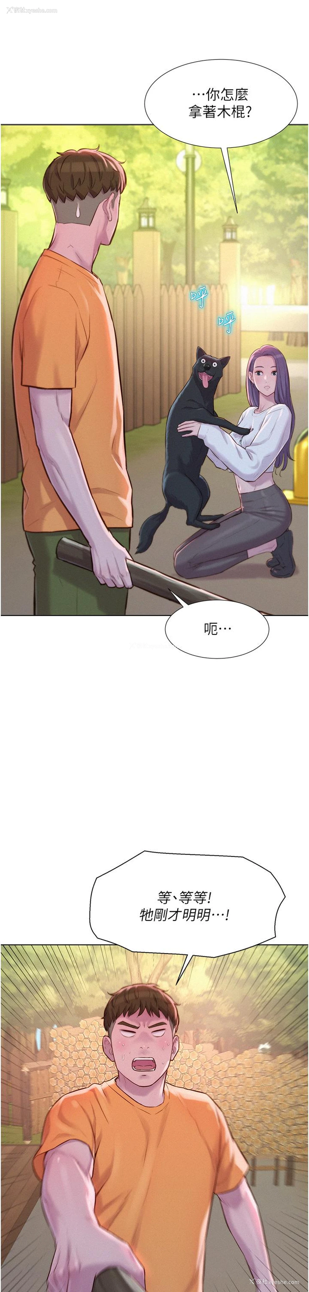 21P - 浪漫露营