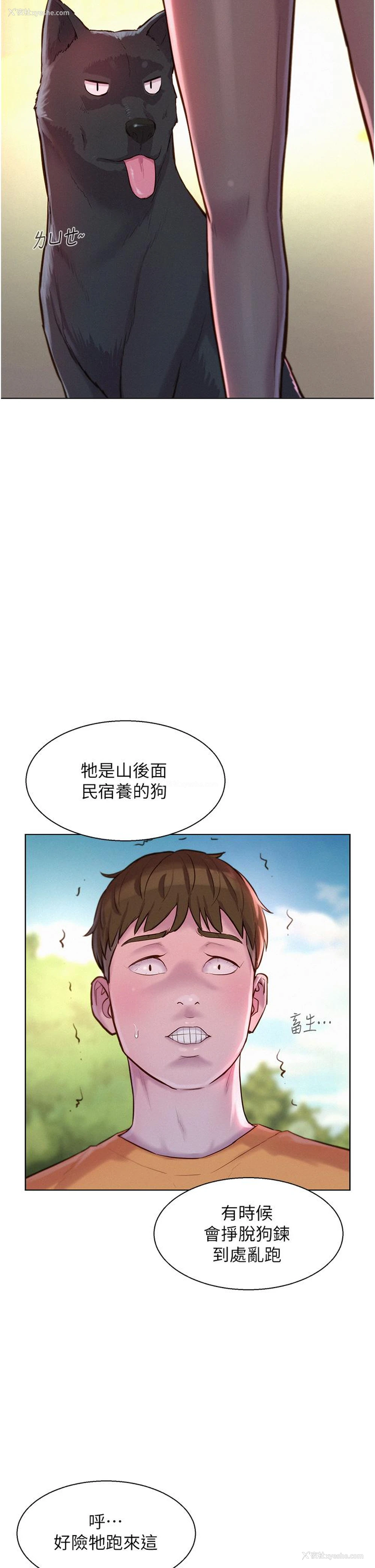 24P - 浪漫露营