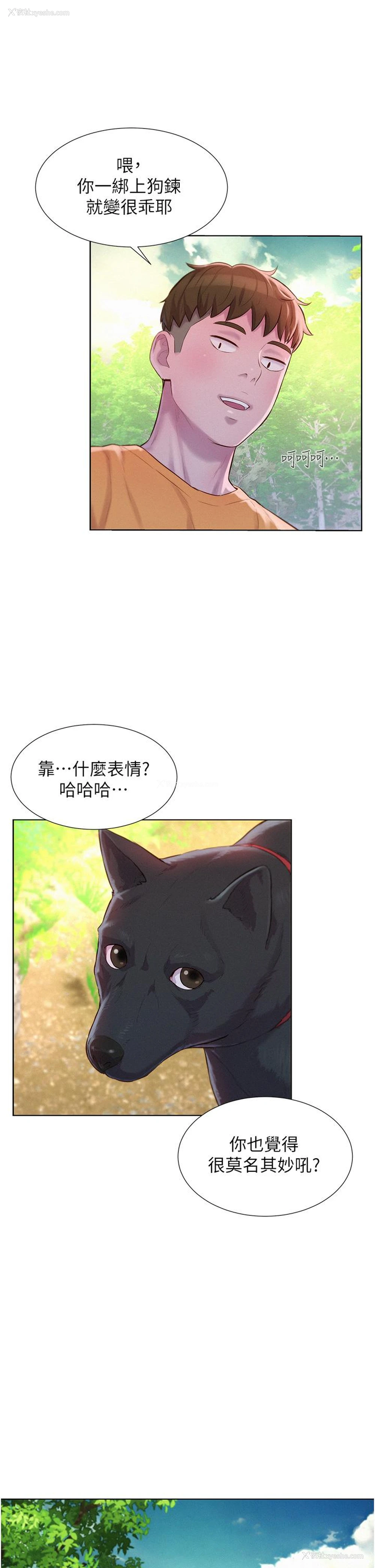 29P - 浪漫露营
