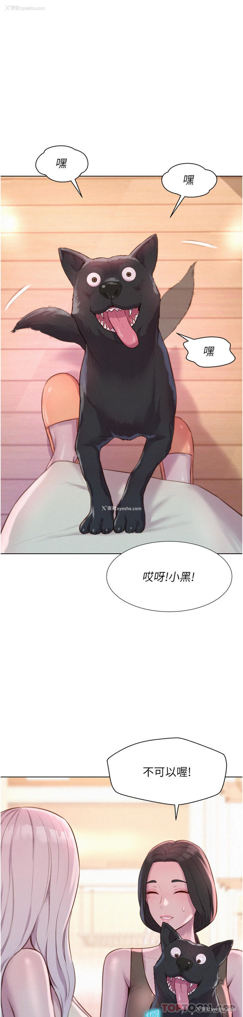 7P - 浪漫露营