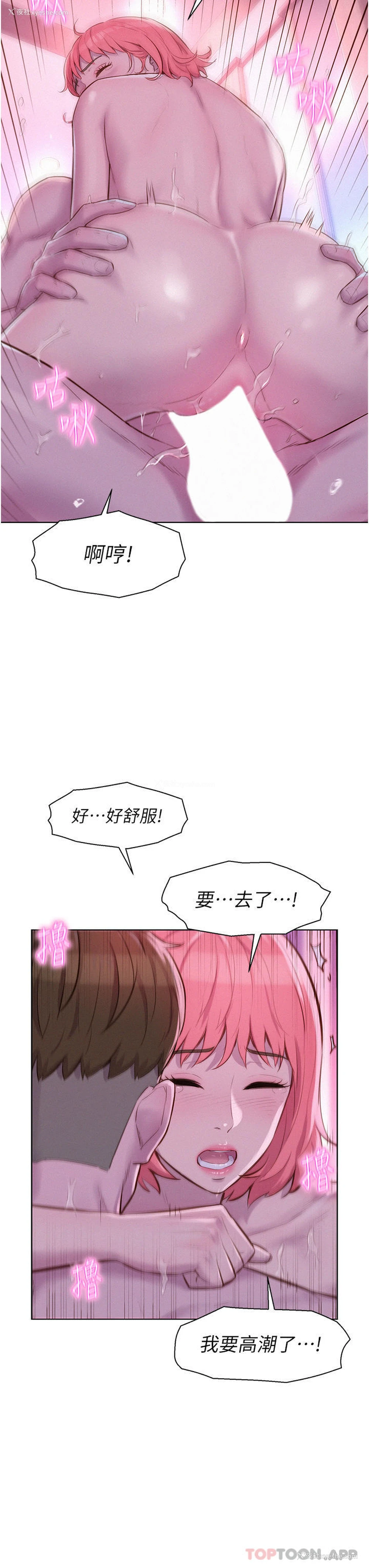 23P - 浪漫露营