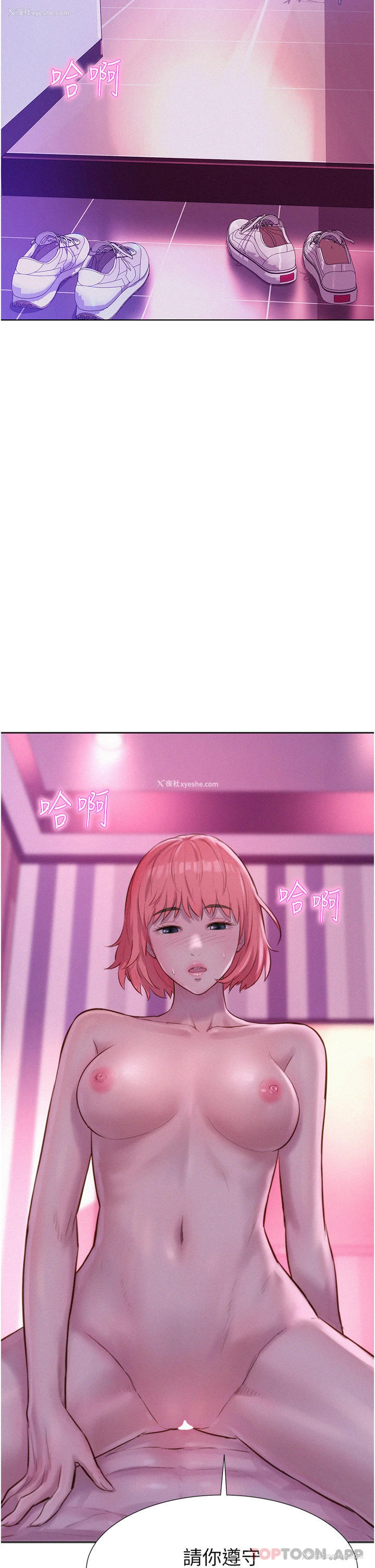 4P - 浪漫露营