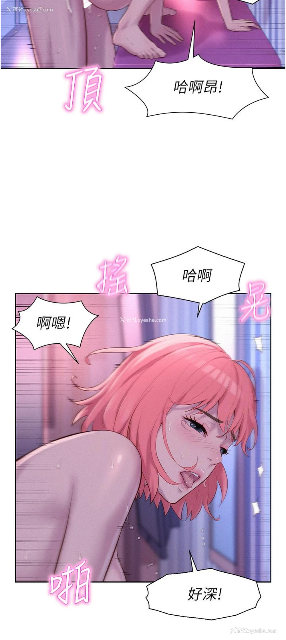 5P - 浪漫露营