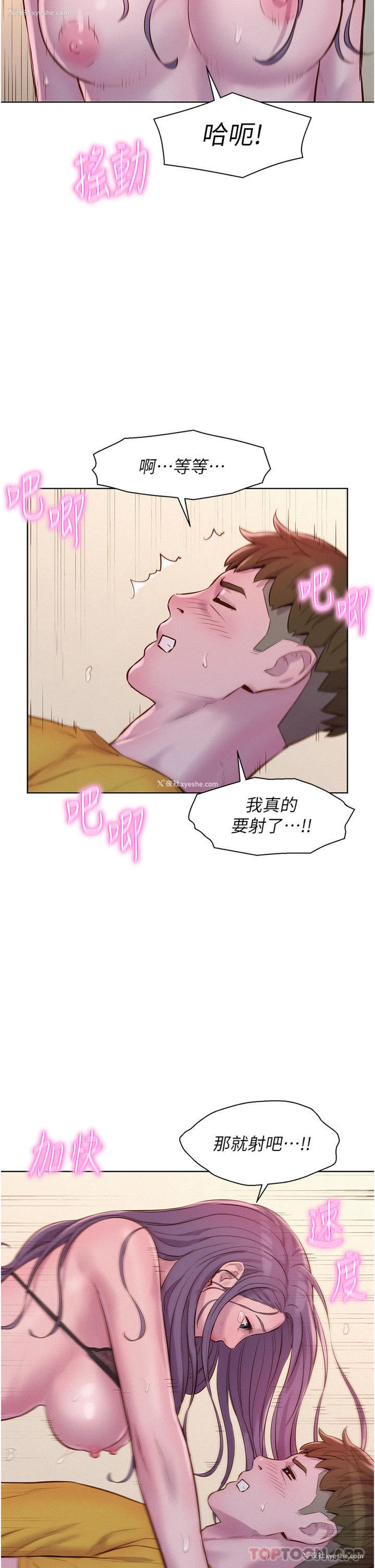 29P - 浪漫露营