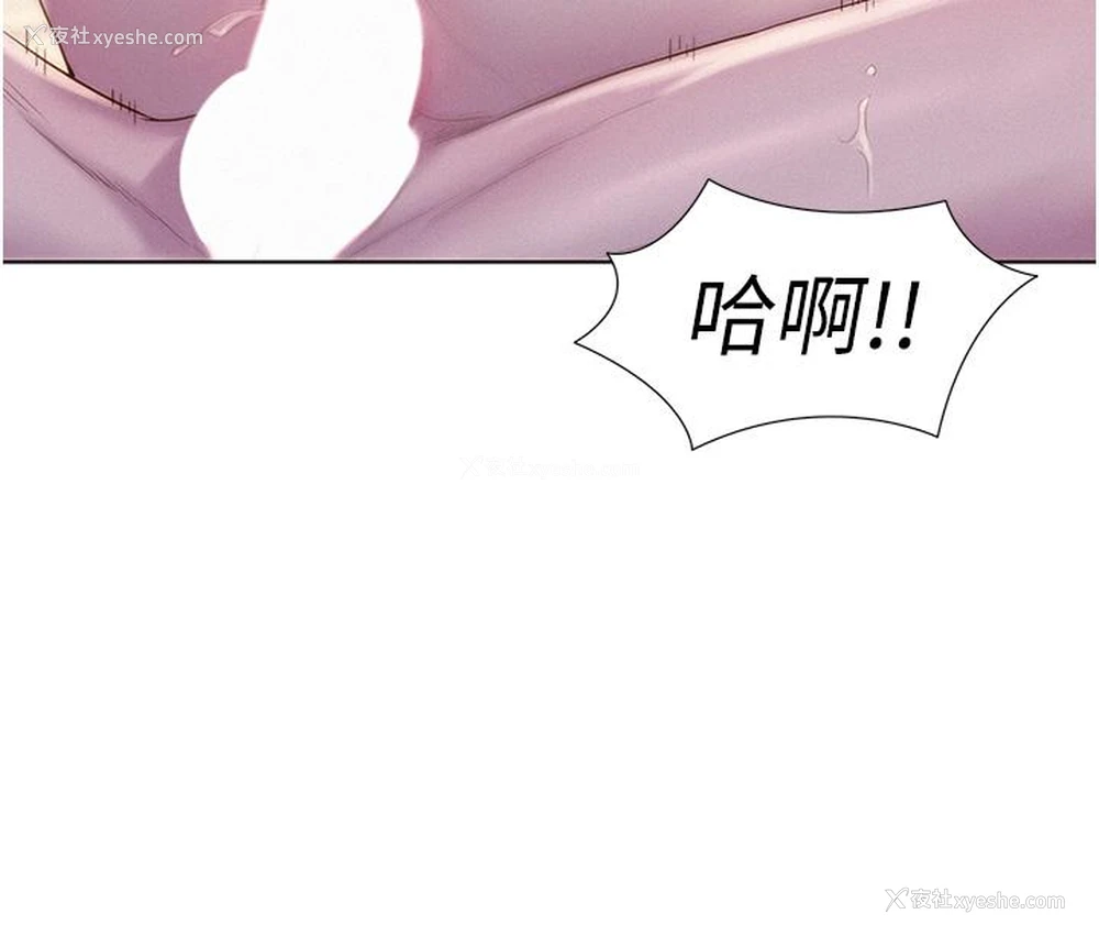 8P - 浪漫露营