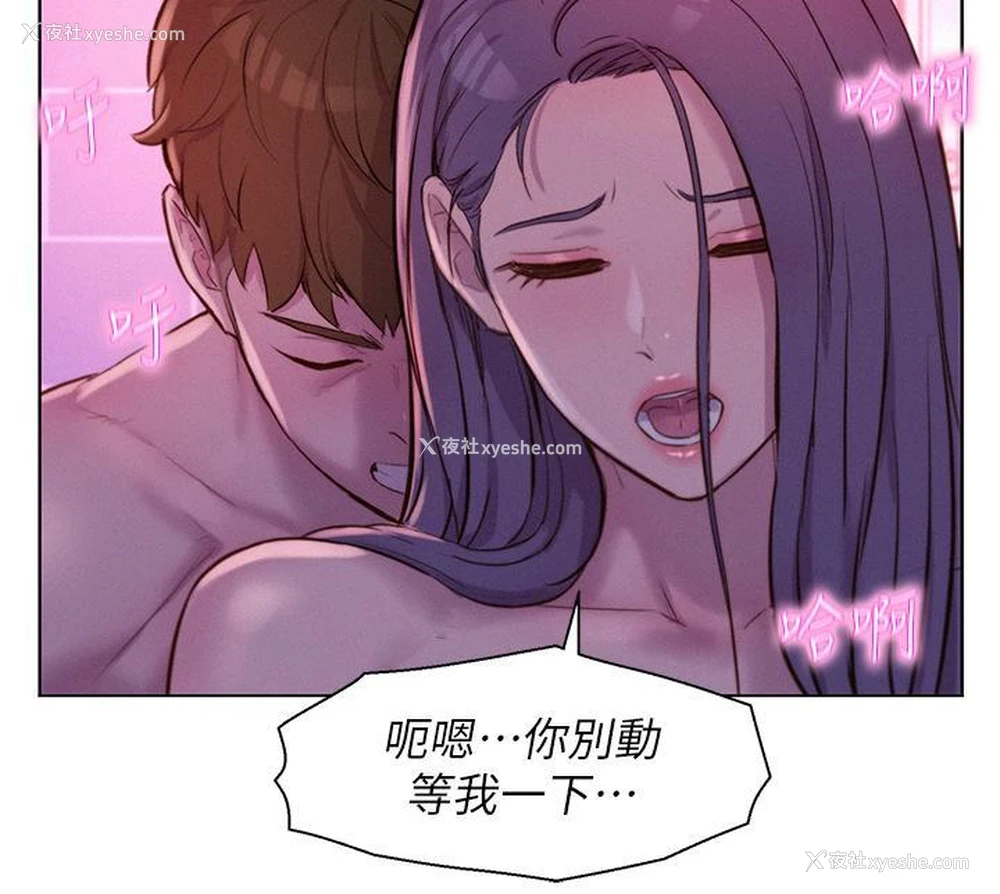 8P - 浪漫露营