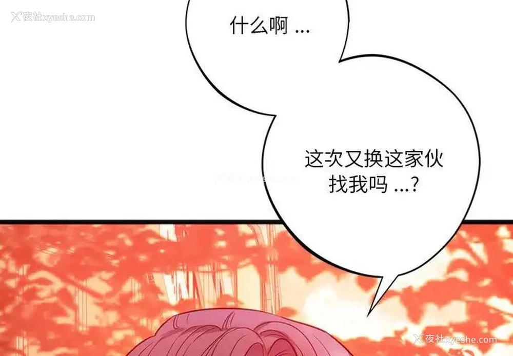 4P - 同级生