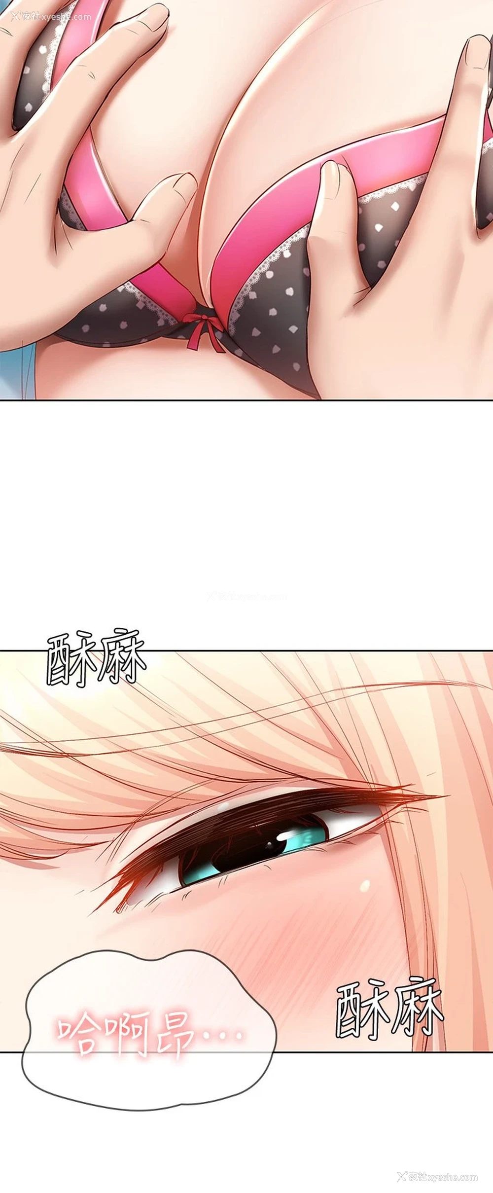 41P - 寄宿日记