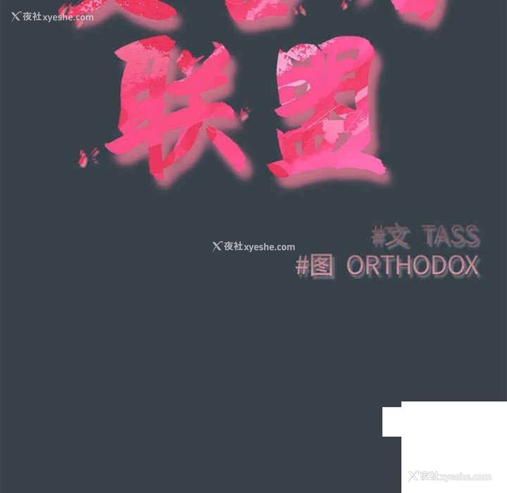 11P - 受害者联盟