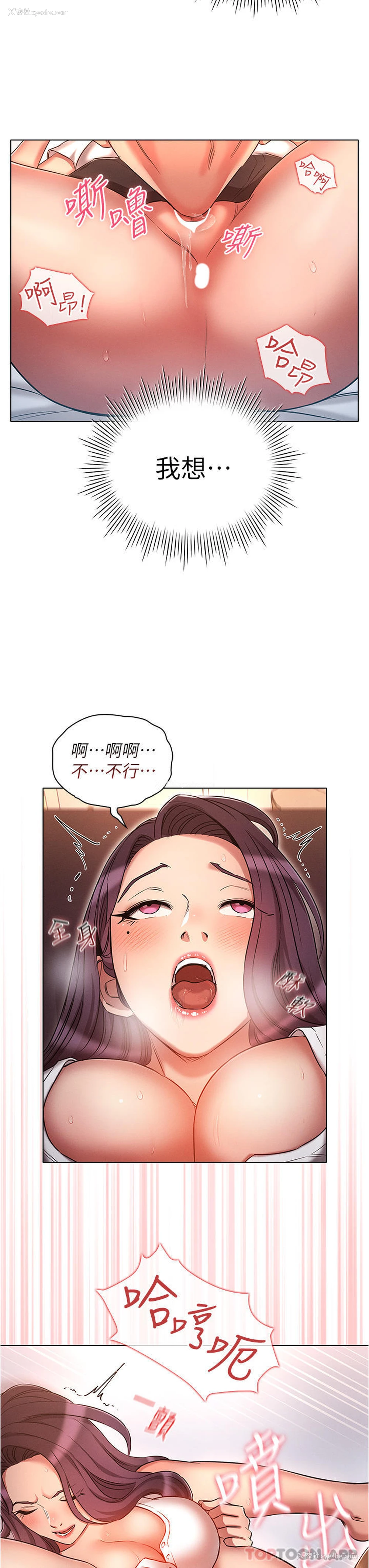 16P - 鲁蛇的多重宇宙