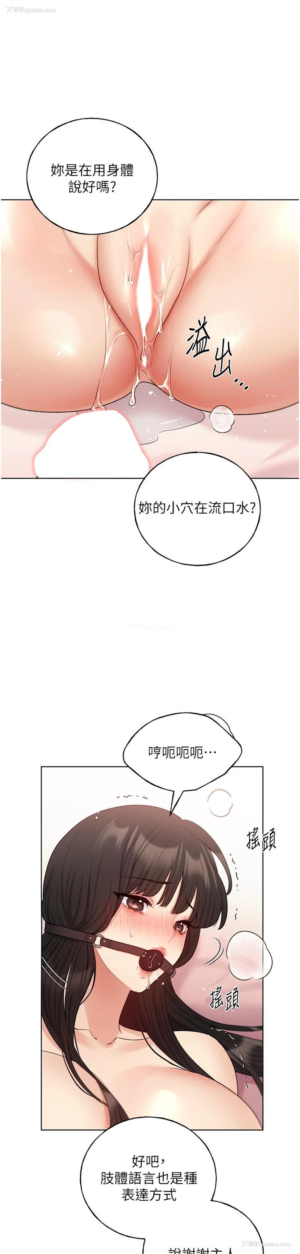 11P - 野蛮插画家