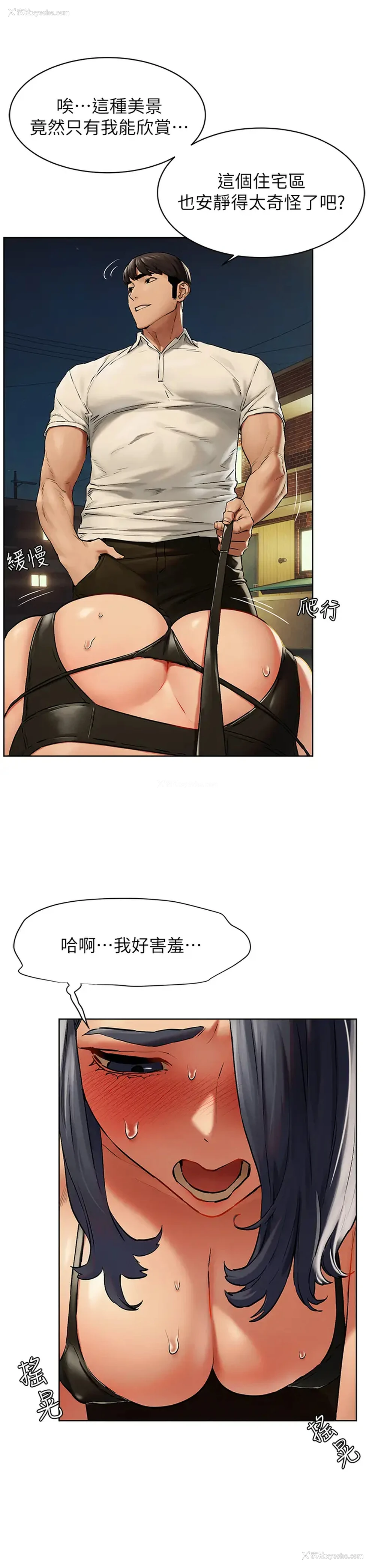 17P - 冲突