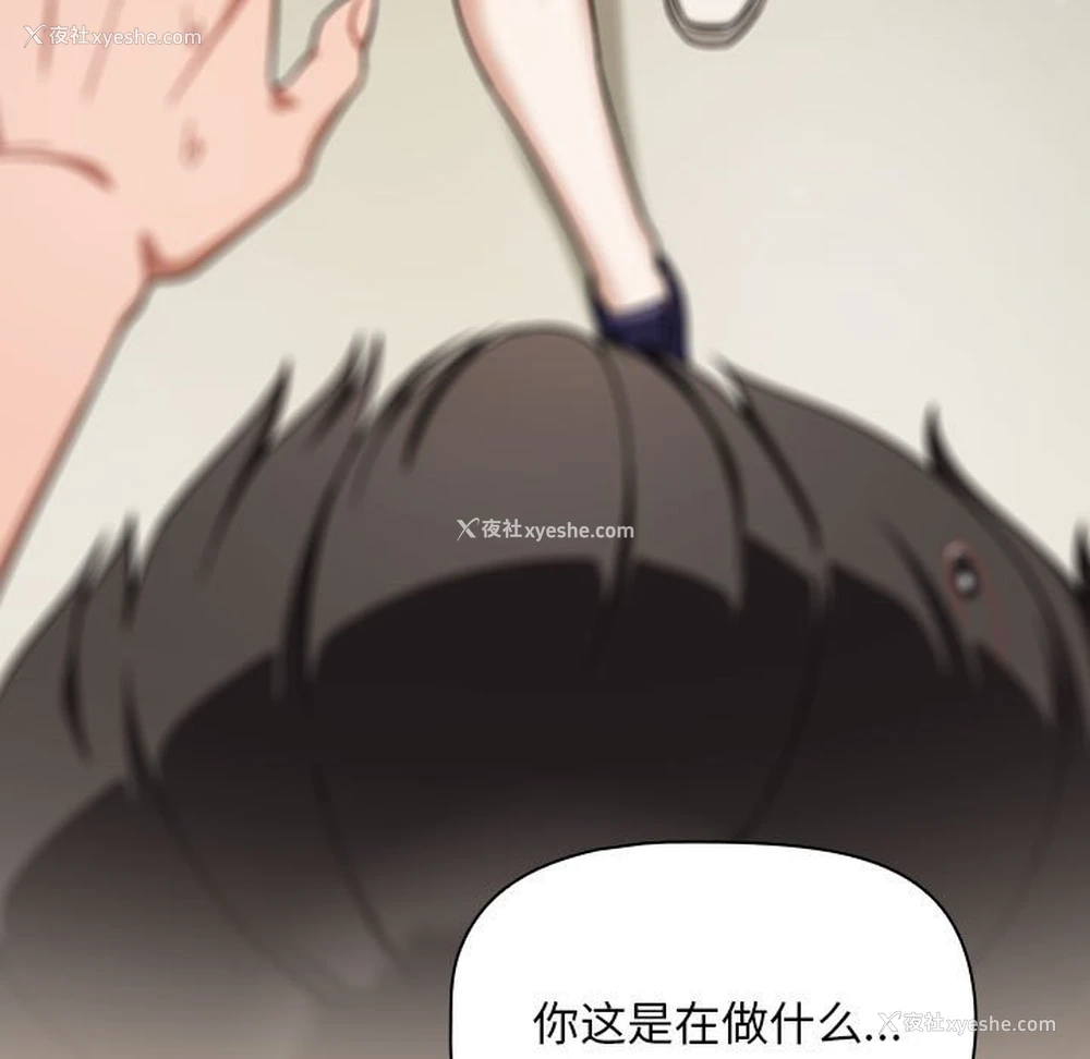 5P - 欢迎加入粉丝团