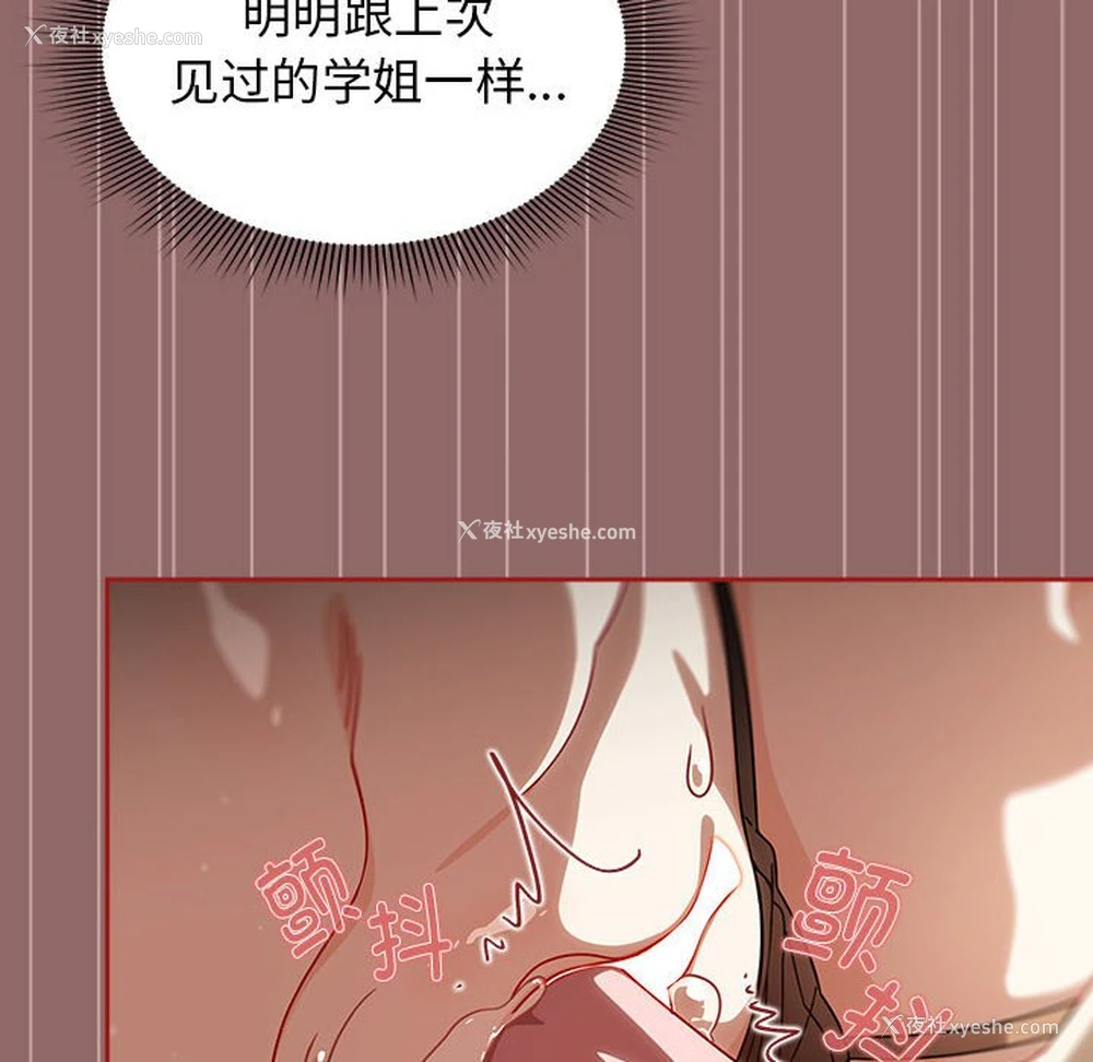 16P - 欢迎加入粉丝团