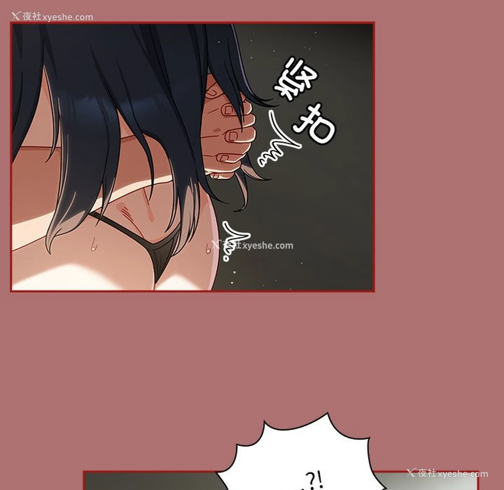 73P - 欢迎加入粉丝团