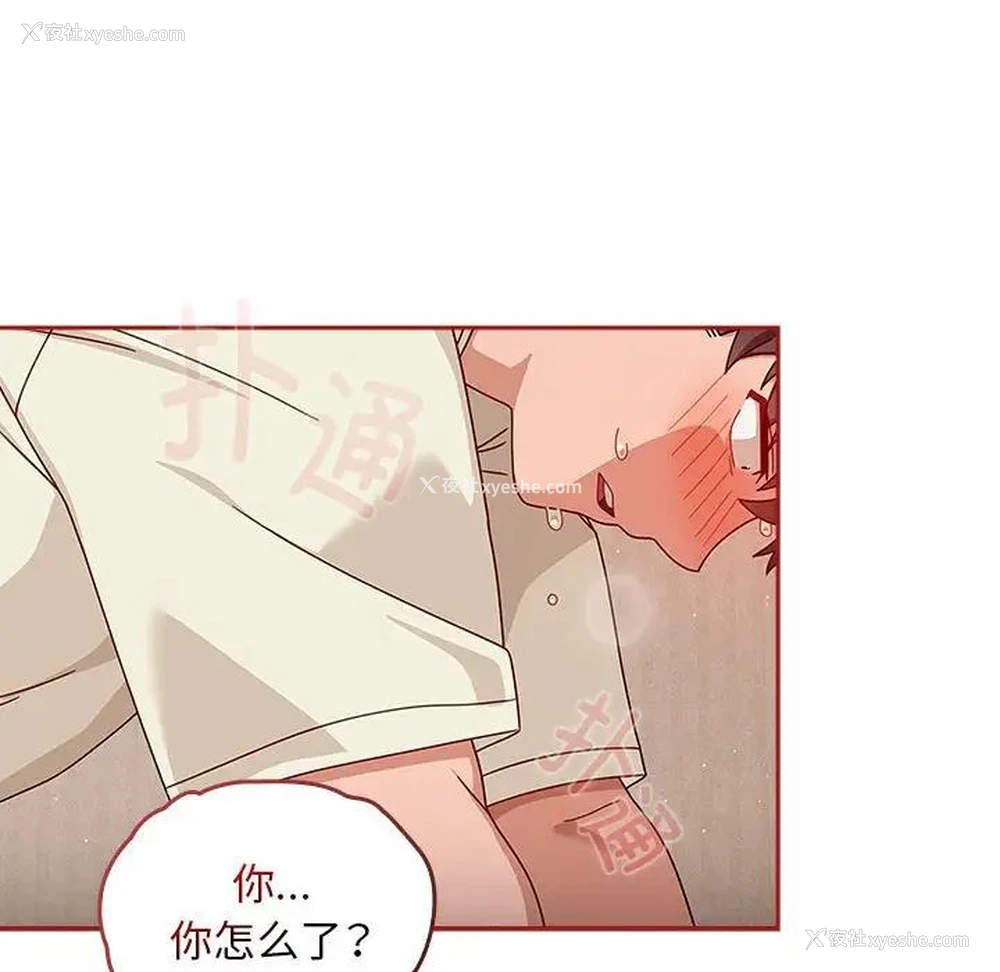 14P - 欢迎加入粉丝团