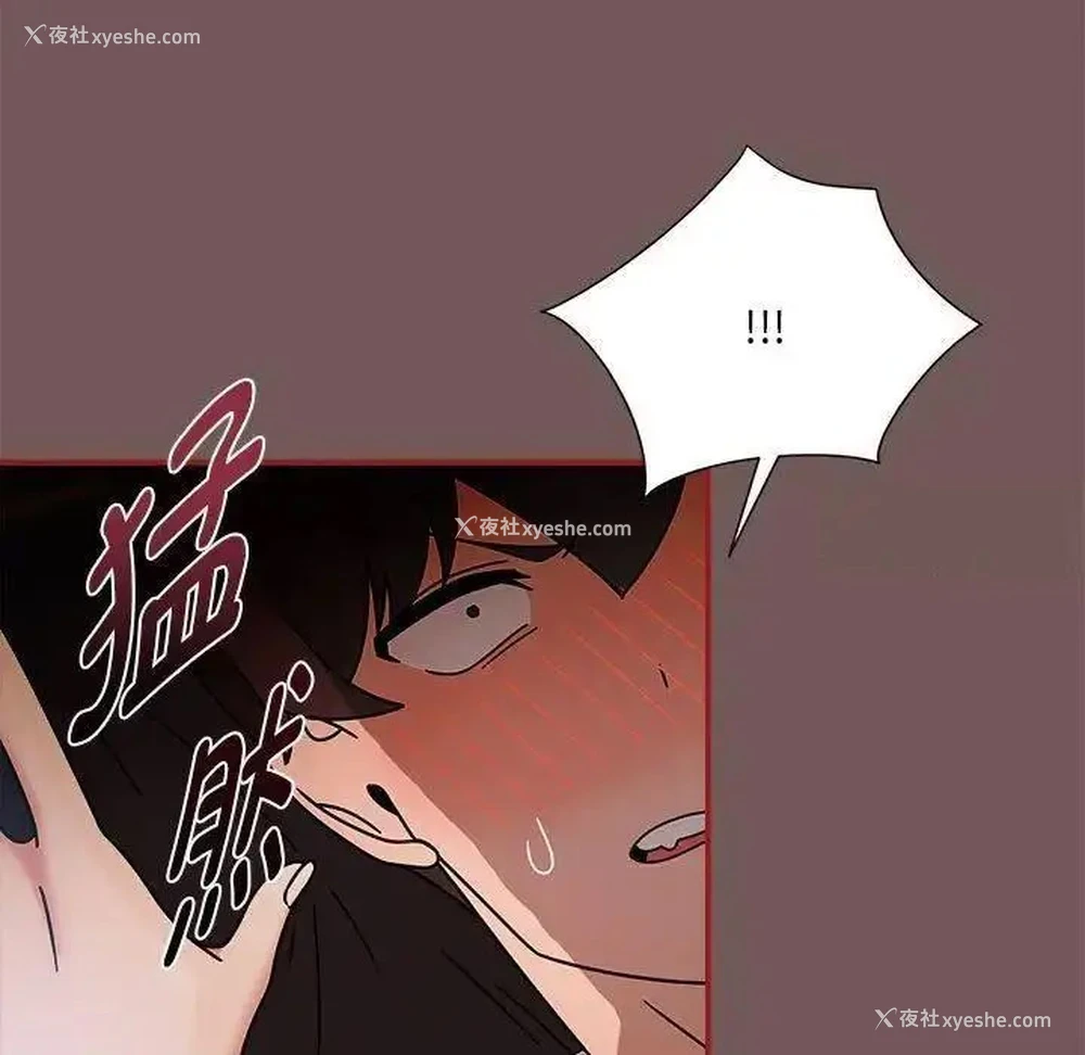 43P - 欢迎加入粉丝团