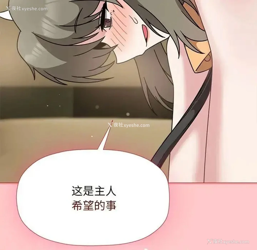 13P - 欢迎加入粉丝团