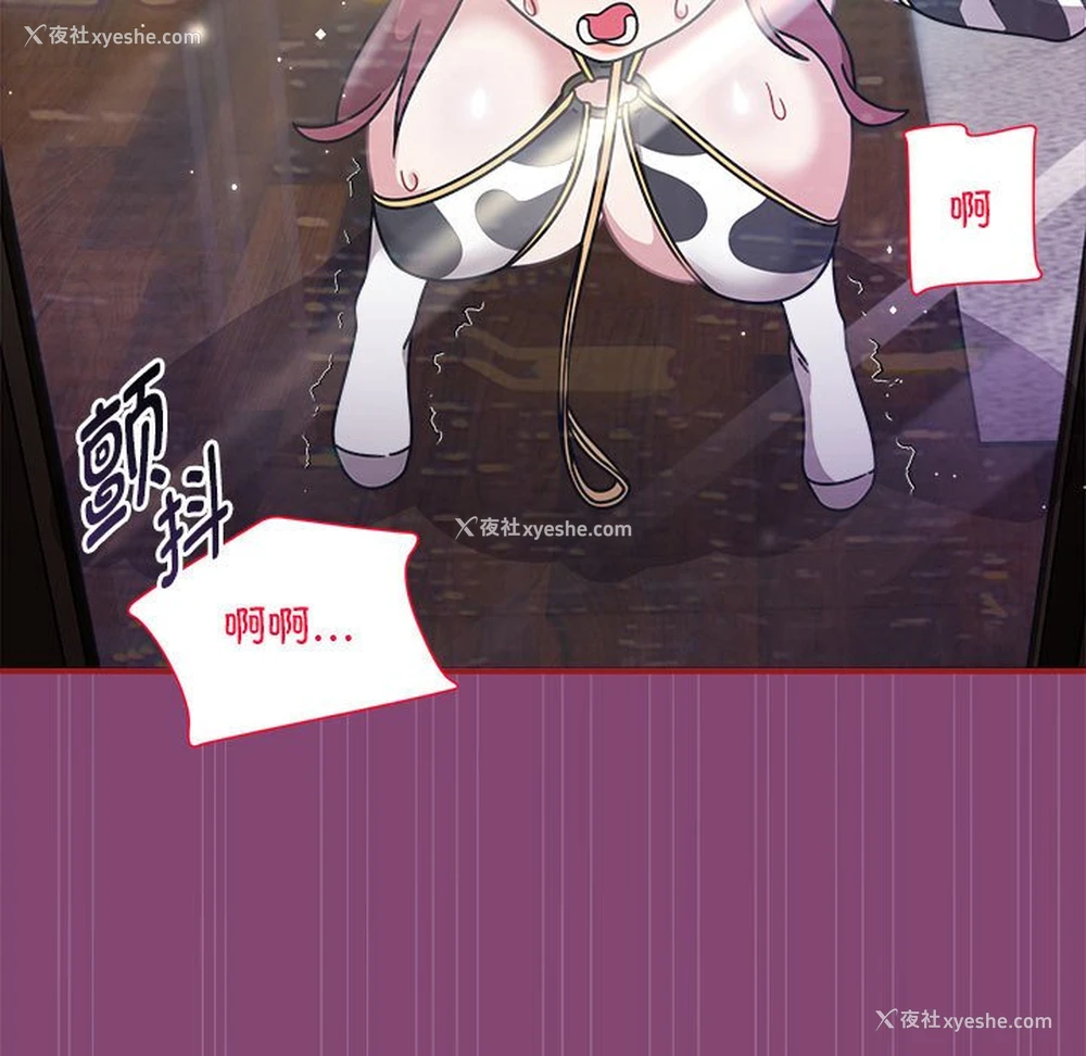 5P - 欢迎加入粉丝团