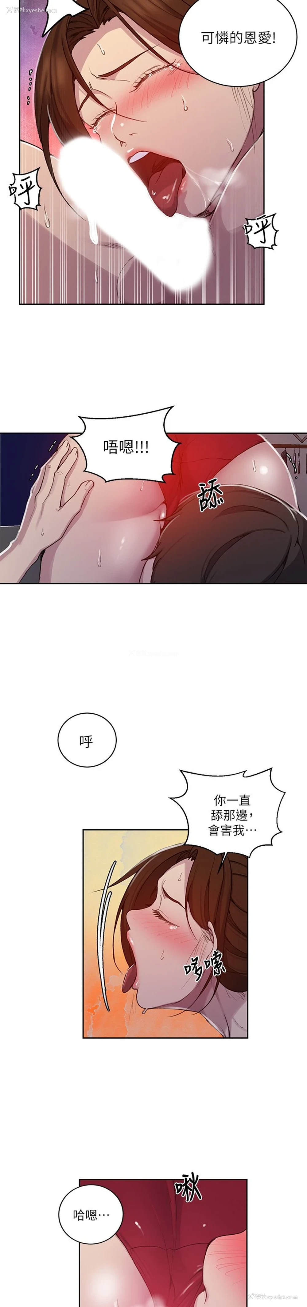 22P - 秘密教学