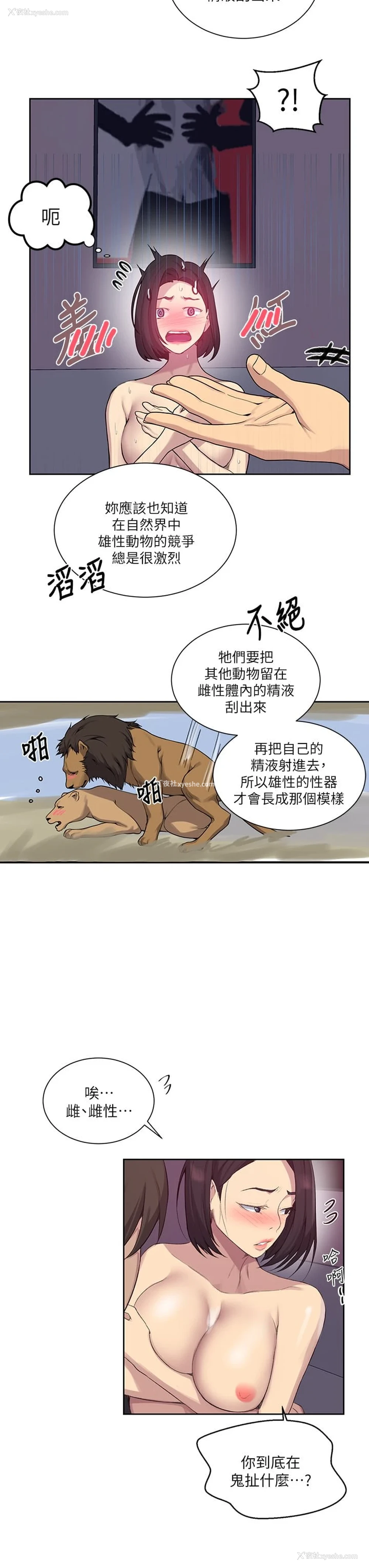 11P - 秘密教学