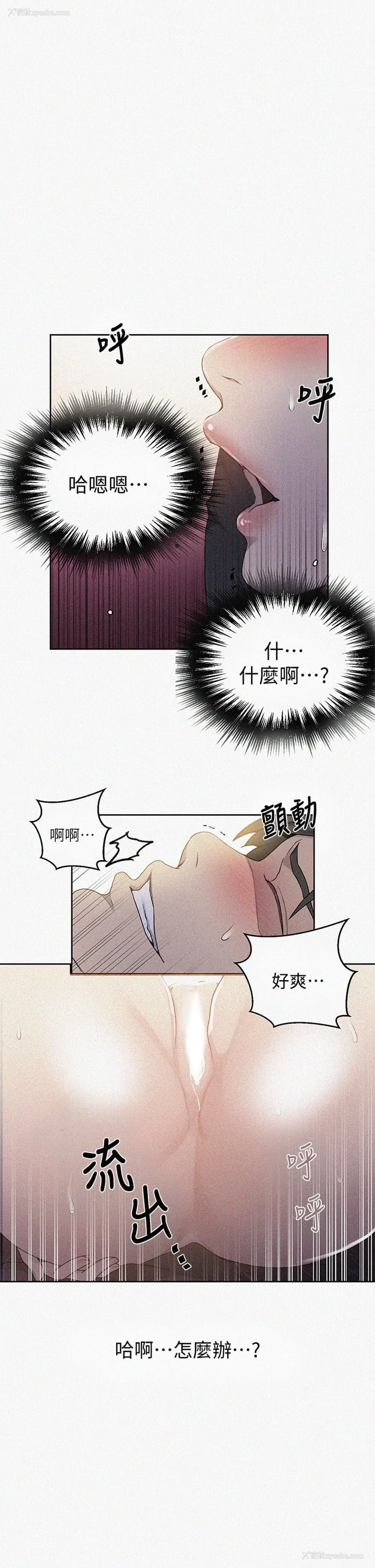 1P - 秘密教学