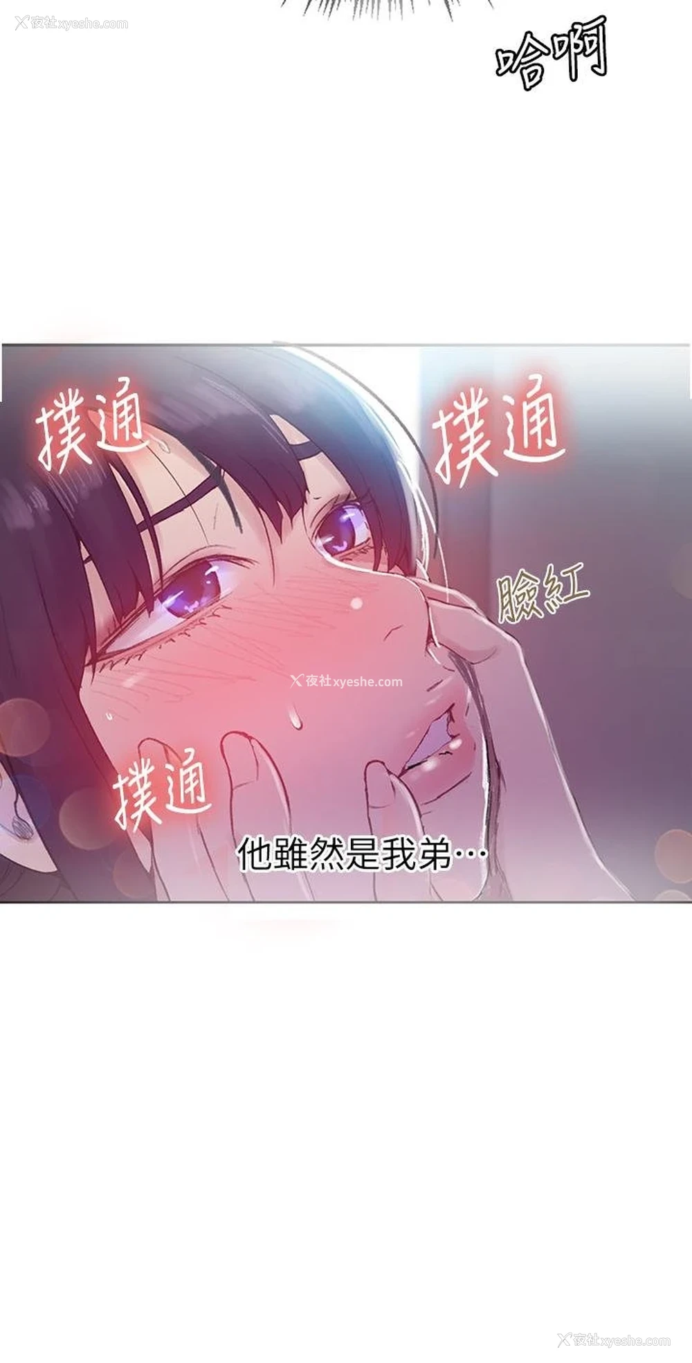 28P - 秘密教学