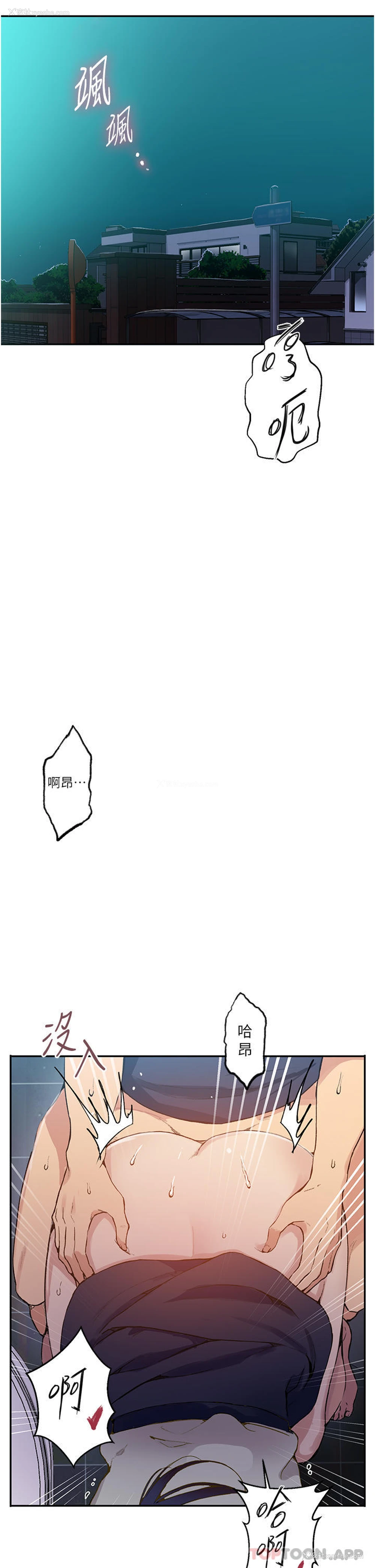 4P - 秘密教学