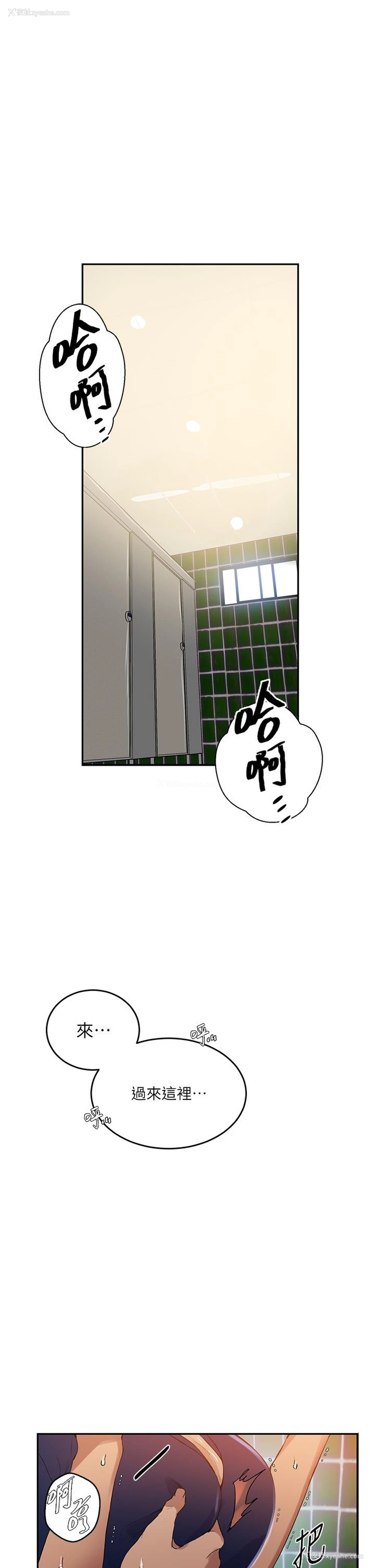 4P - 秘密教学