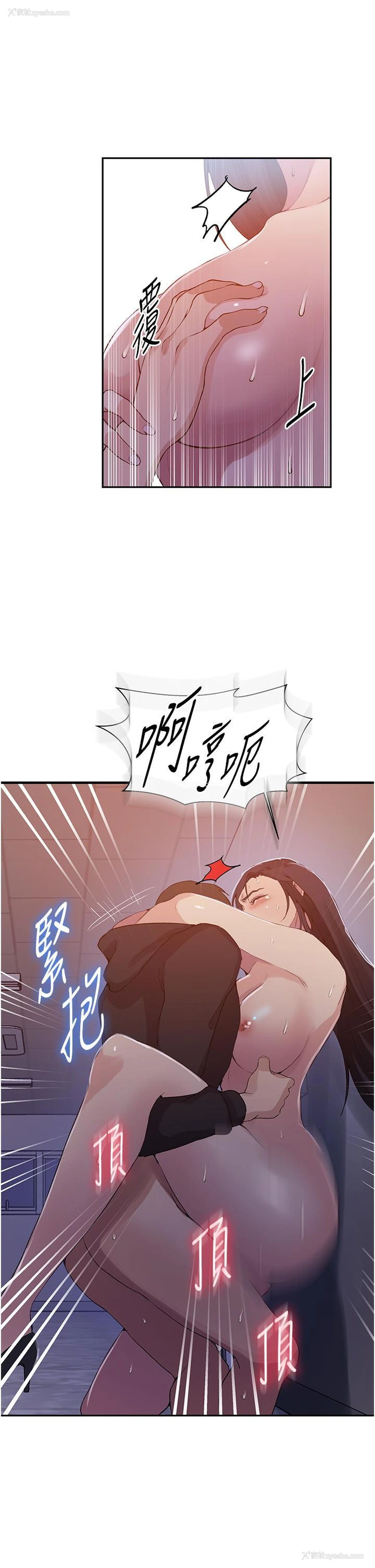 11P - 秘密教学