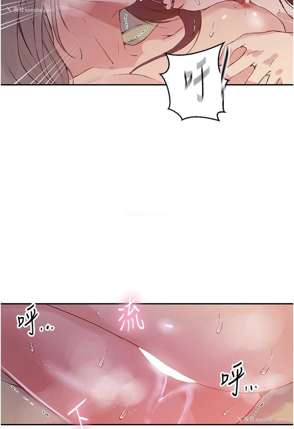28P - 秘密教学