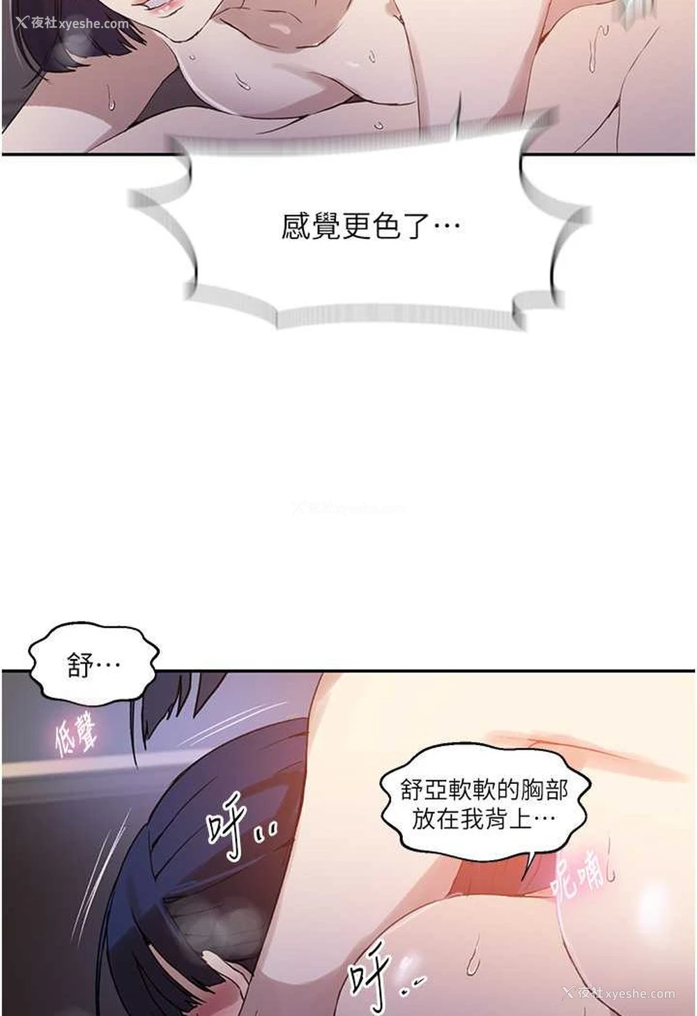 22P - 秘密教学