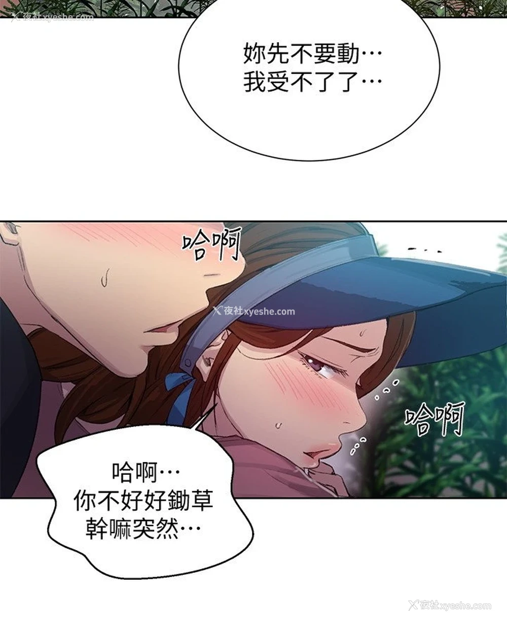 15P - 秘密教学