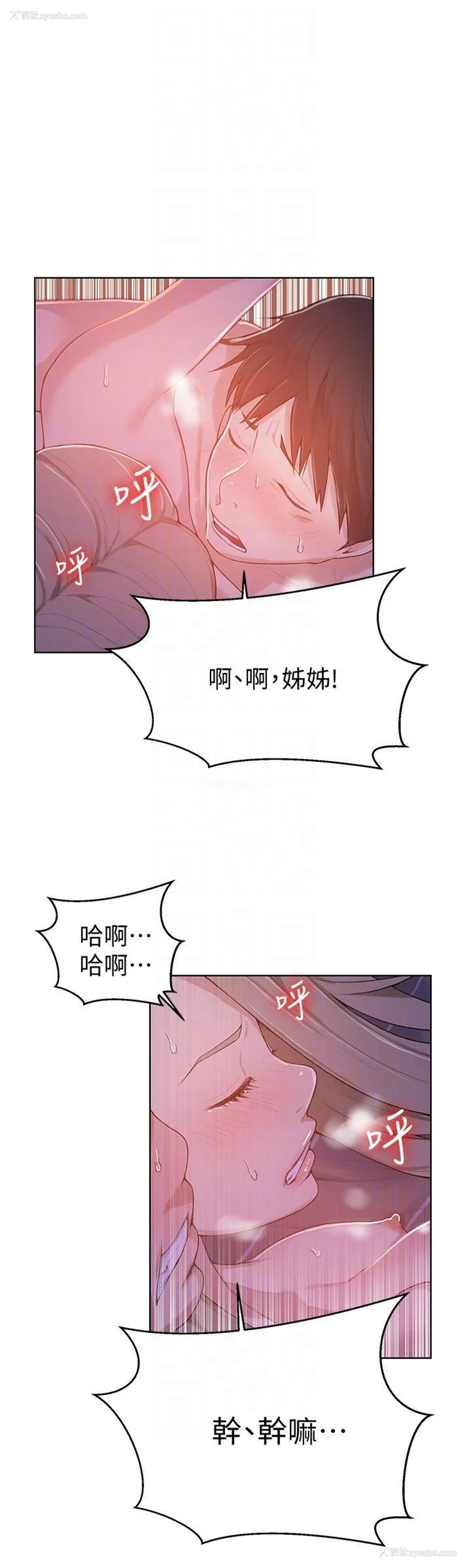 11P - 秘密教学
