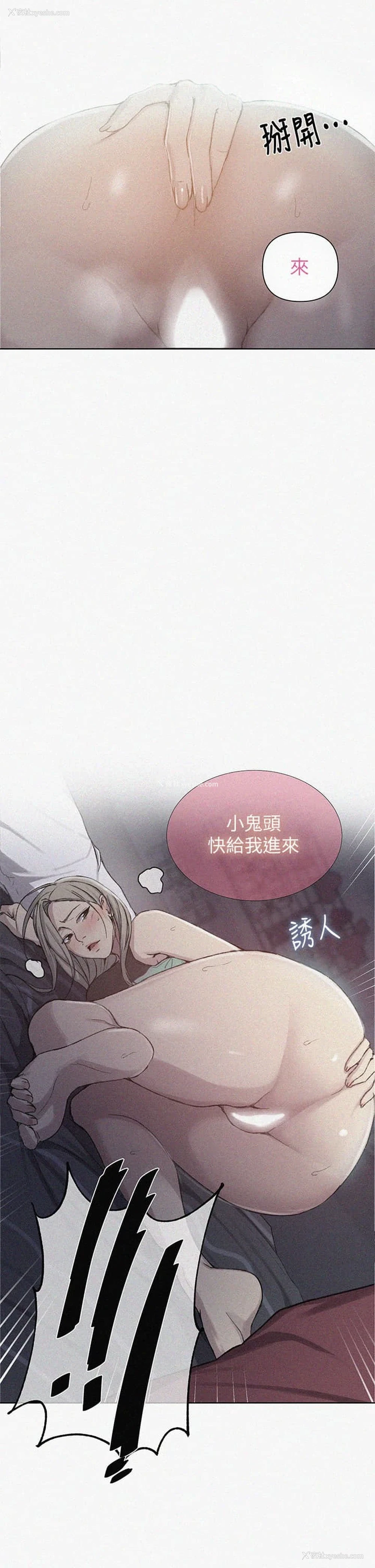 2P - 秘密教学