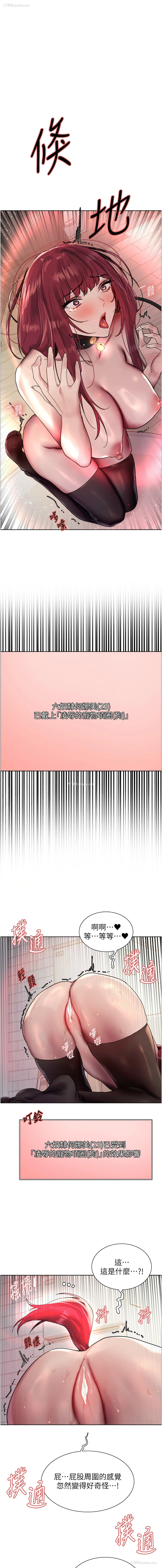 1P - 色轮眼