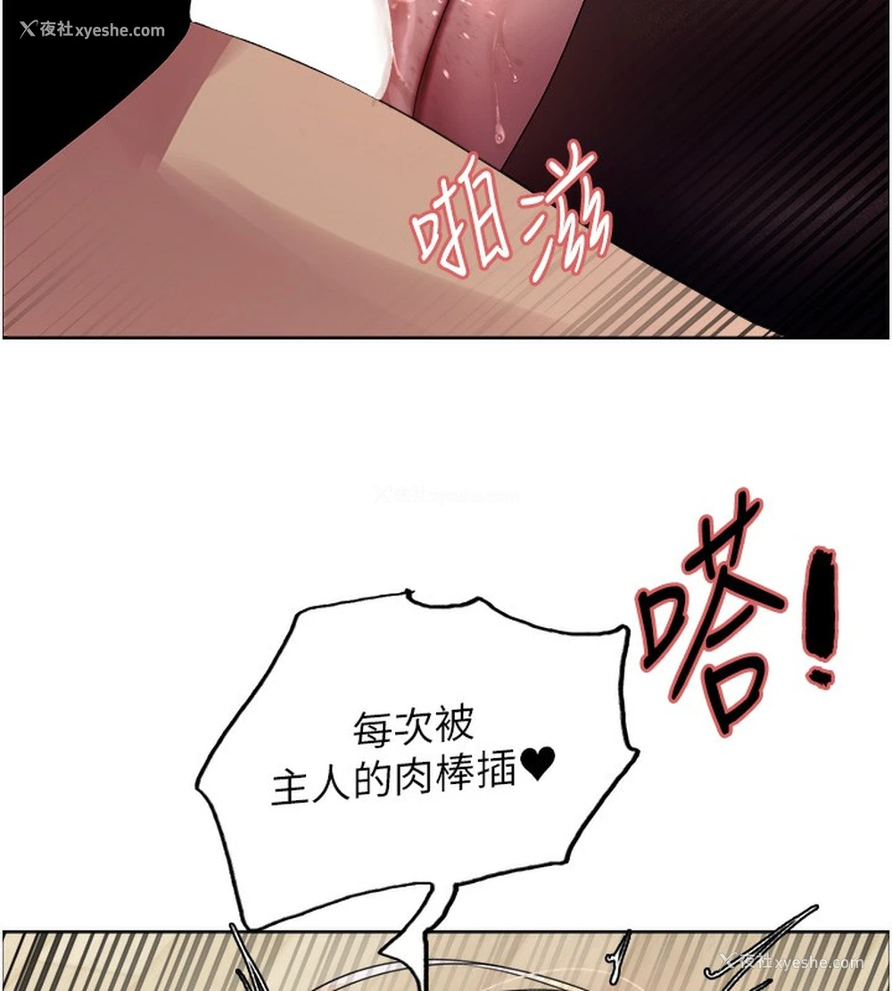 88P - 色轮眼
