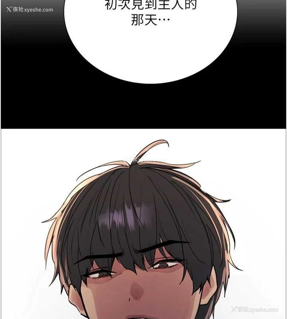 51P - 色轮眼