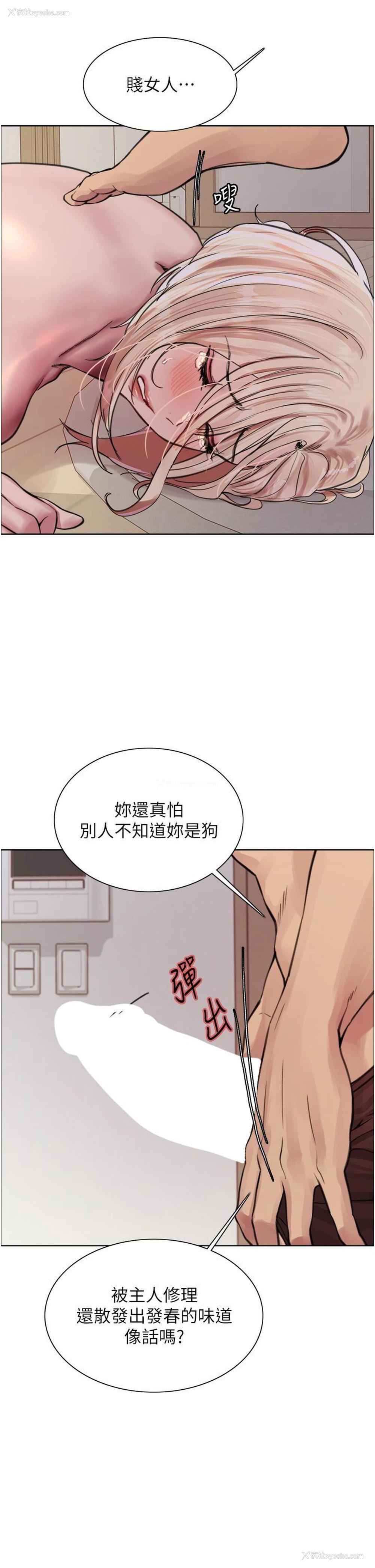 38P - 色轮眼