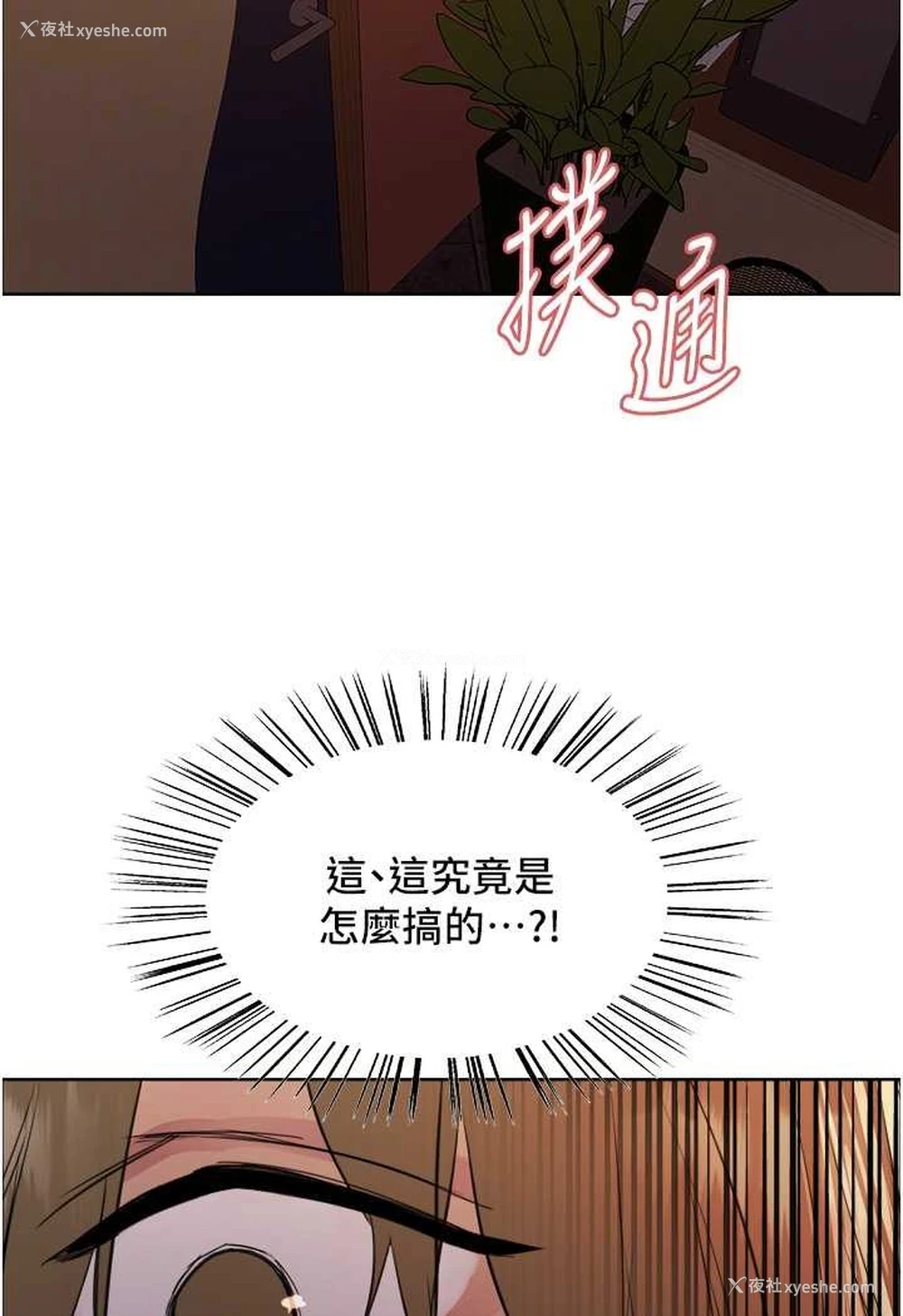 14P - 色轮眼
