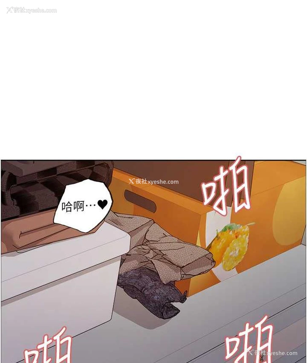 14P - 色轮眼
