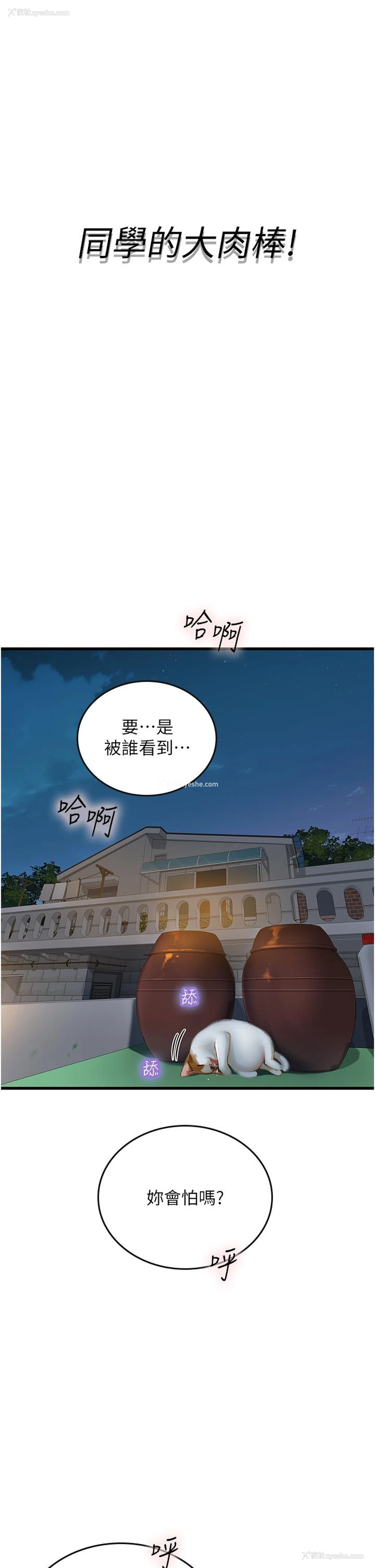 13P - 海女实习生