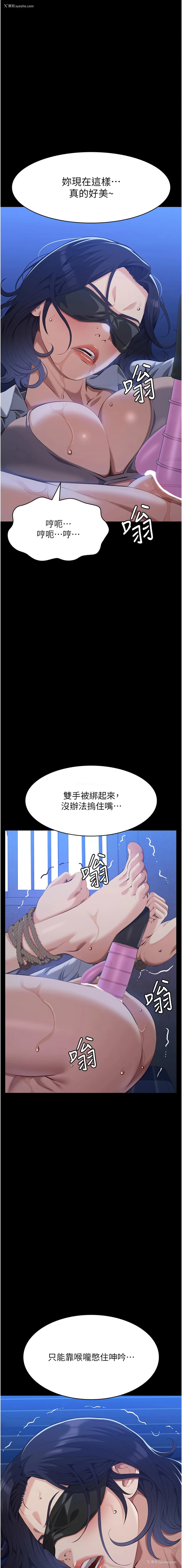 3P - 万能履历表