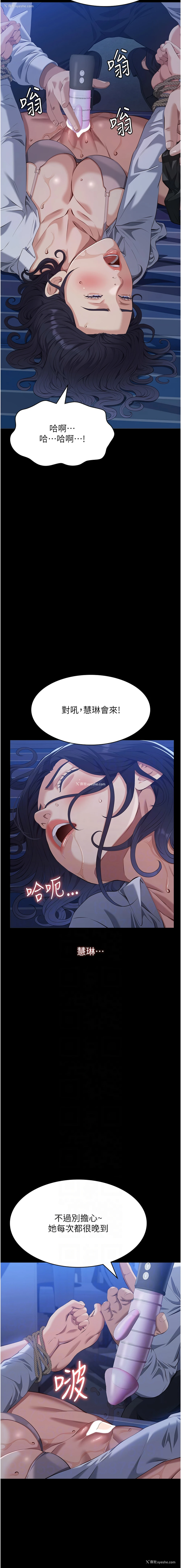 5P - 万能履历表