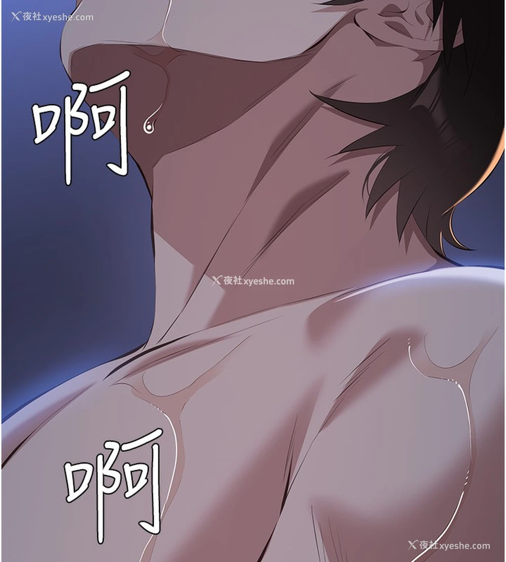 142P - 万能履历表