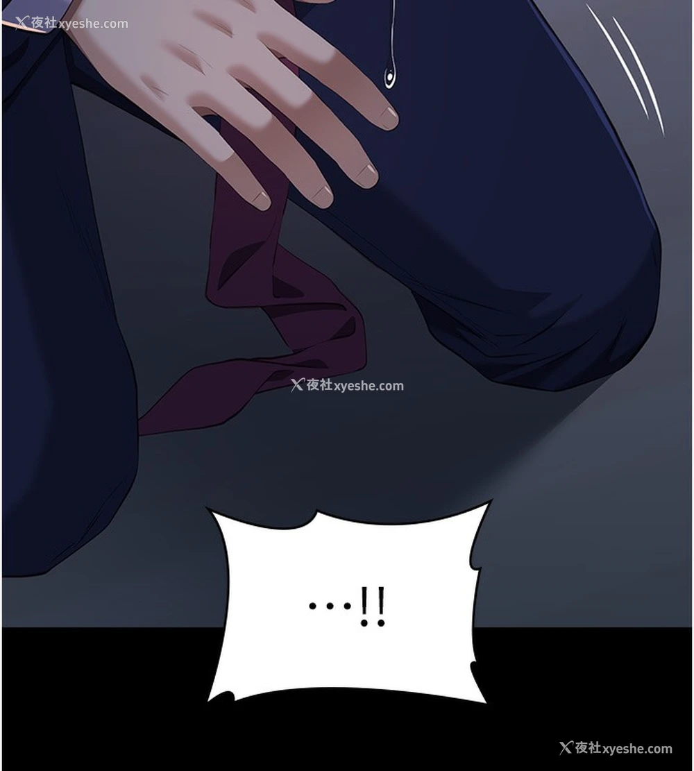 173P - 万能履历表